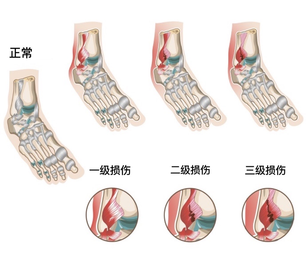 微信图片_20230215173547.png